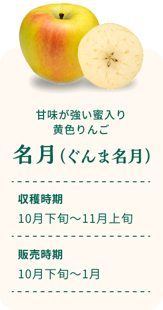 甘味が強い蜜入り黄色りんご 名月(ぐんま名月) 収穫時期10月下旬~11月上旬 販売時期10月下旬~1月